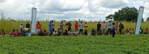 Outgrower Scheme