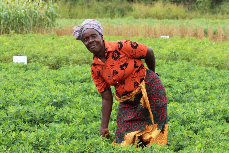 zambian woman smallholder group